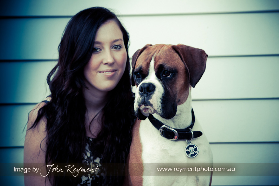 Brisbane pet photography, Boxer Dog