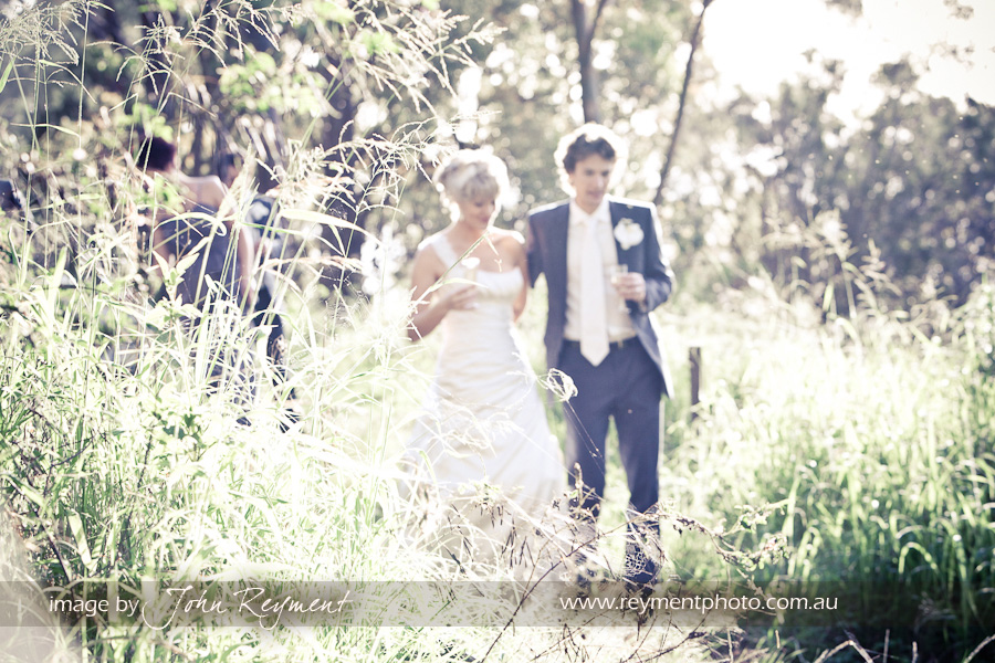 Wedding photographer Brisbane, Songbirds, Mt Tamborine