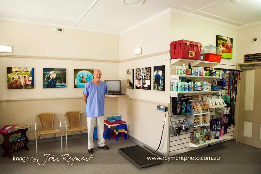 Coorparoo Veterinary Clinic, Pet photography Brisbane