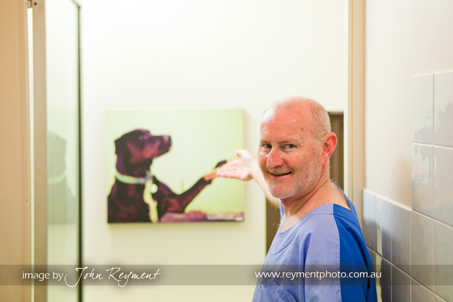 Coorparoo Veterinary Clinic, Pet photography Brisbane
