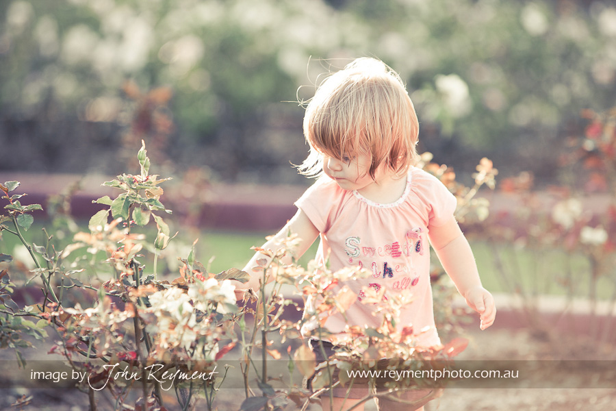 Claire explores the rose garden in New Farm Park, by Brisbane family portrait photographer John Reyment