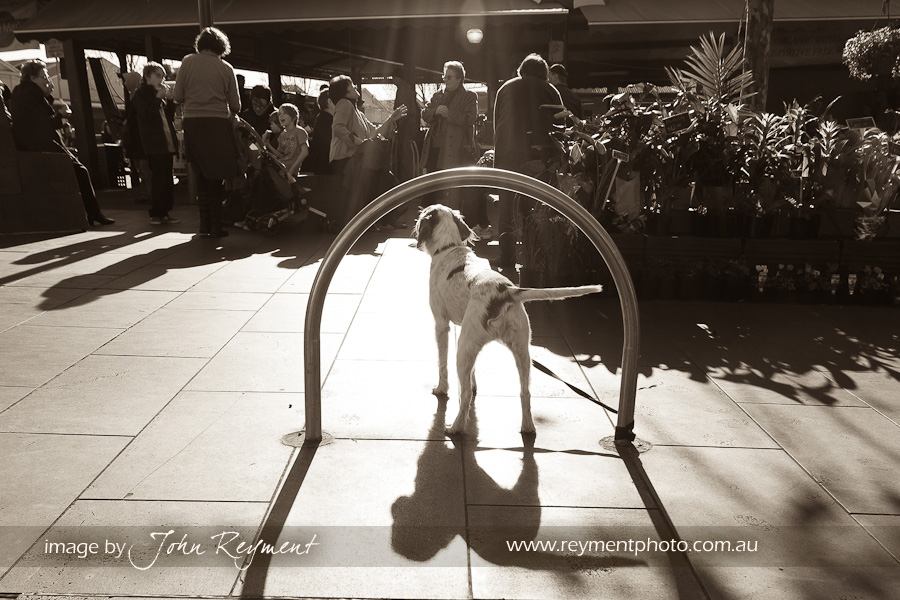 Victoria Markets, Melbourne, Brisbane wedding photographer, John Reyment