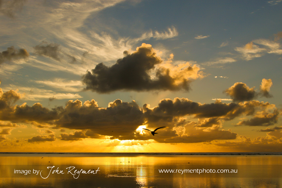 Sunrise, Brisbane photographer, digital photography workshop, John Reyment