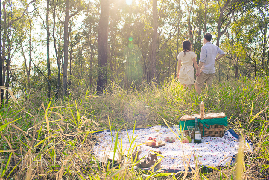 Romantic summer picnics