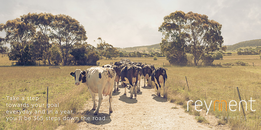 dairy farm Victoria by photographer John Reyment